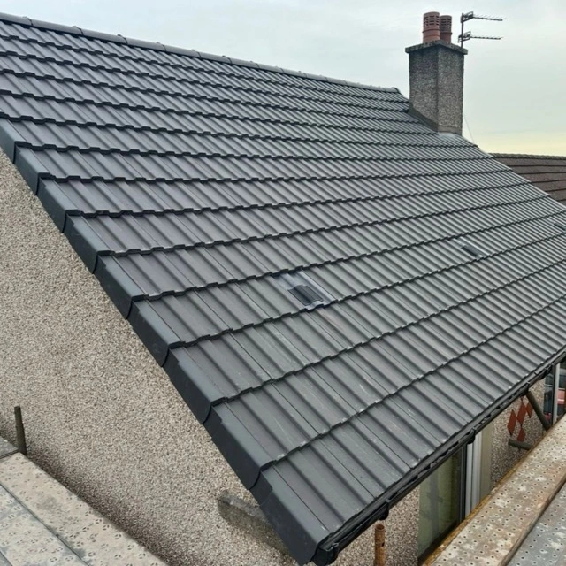 Recent roof project