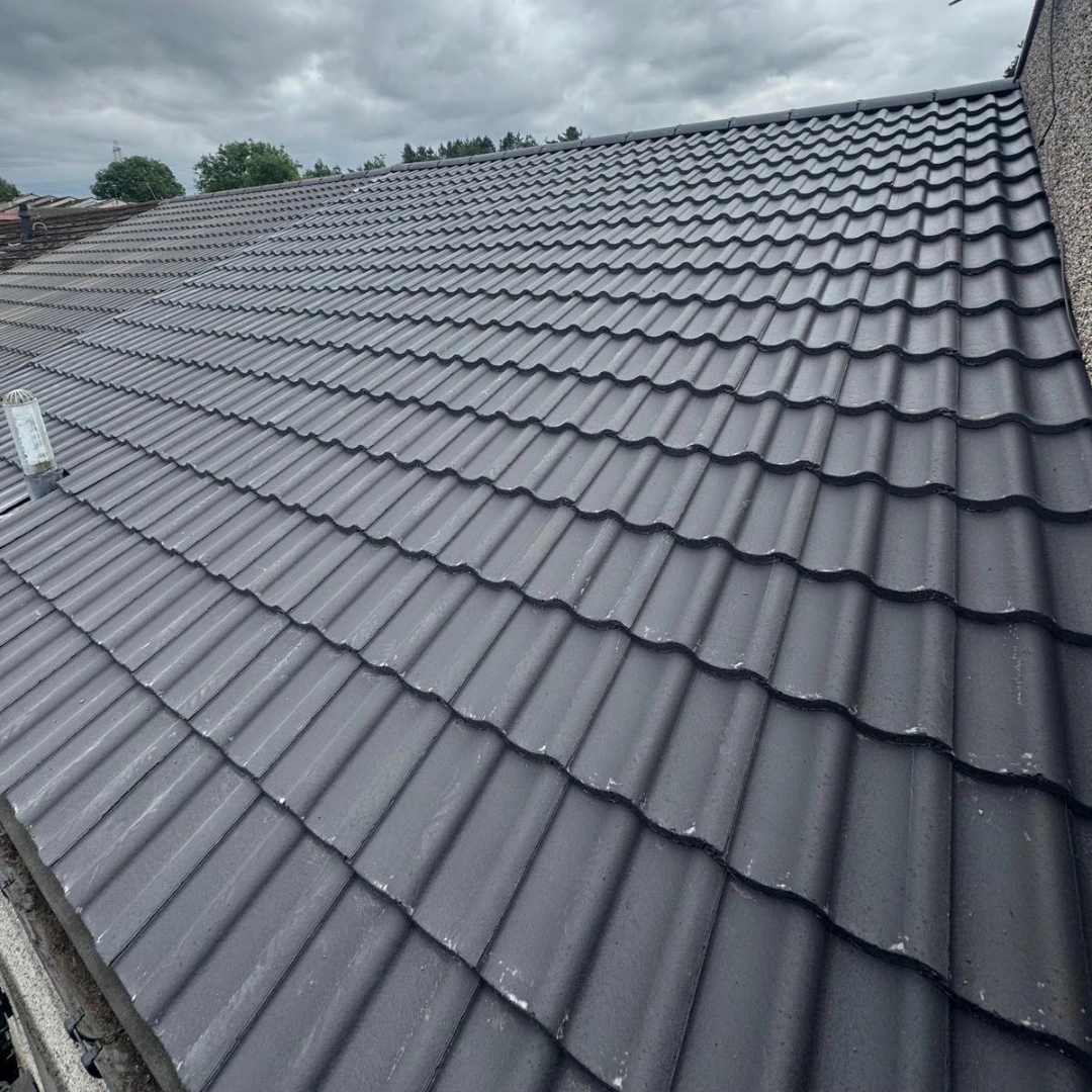 Recent roof project